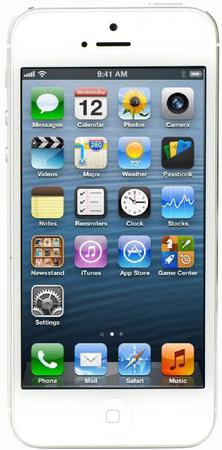 Смартфон Apple iPhone 5 32Gb White & Silver - Богородск